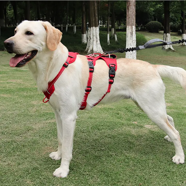 反射材質の犬用ハーネス【脱走防止・中小型犬対応・散歩用】