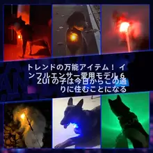 LED発光犬用ペンダント【防失・夜間散歩用ライト】