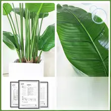 模擬緑植物極楽鳥リビングルーム床から天井までの大きな植物