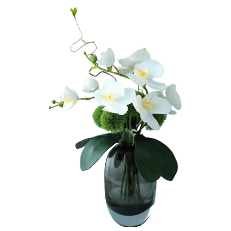 おしゃれな部屋に観葉植物を飾るなら、この1品が今最もおすすめ？
