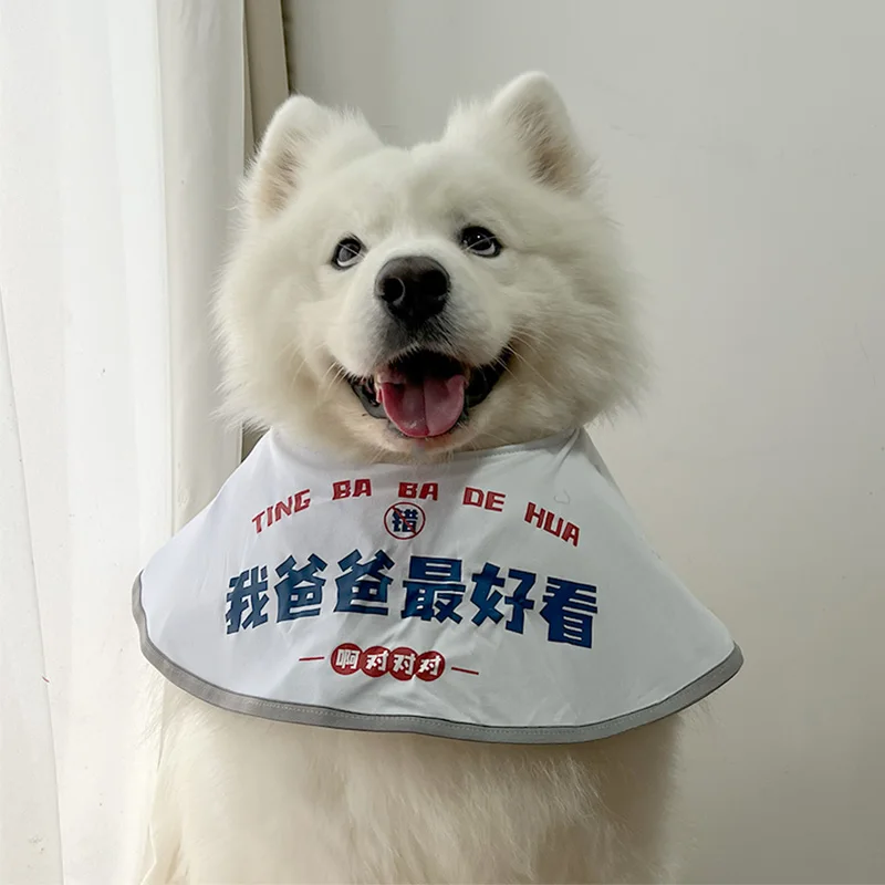 介護犬の日常を彩る、どんなマナーポーチがおすすめなの？