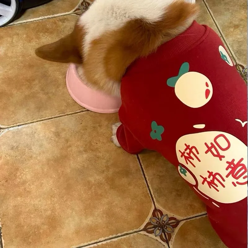 犬のクリスマスプレゼントにどんな服がおすすめ？人気の「お正月服」が実は冬の季節に最適な理由