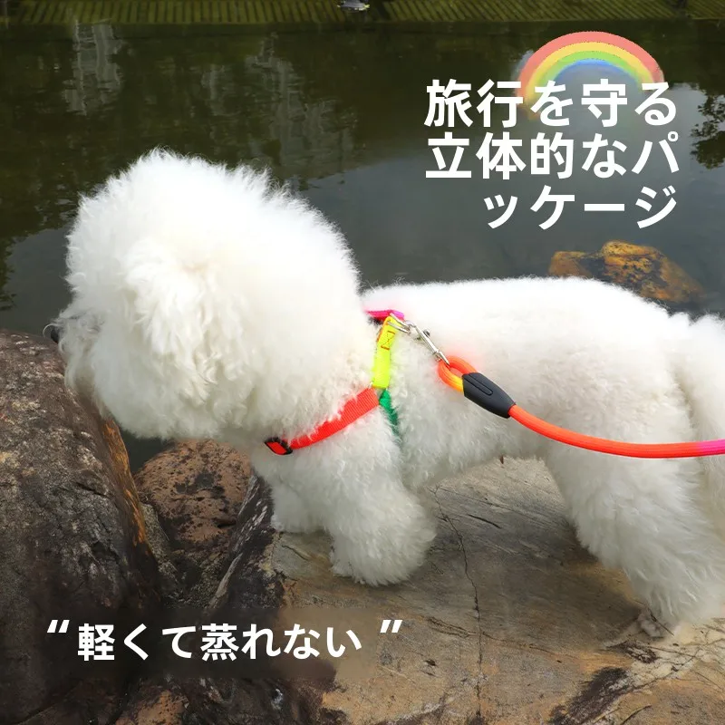 グラデーションレインボー犬リード：小型犬用ハーネスの通気性と防咬機能を実証