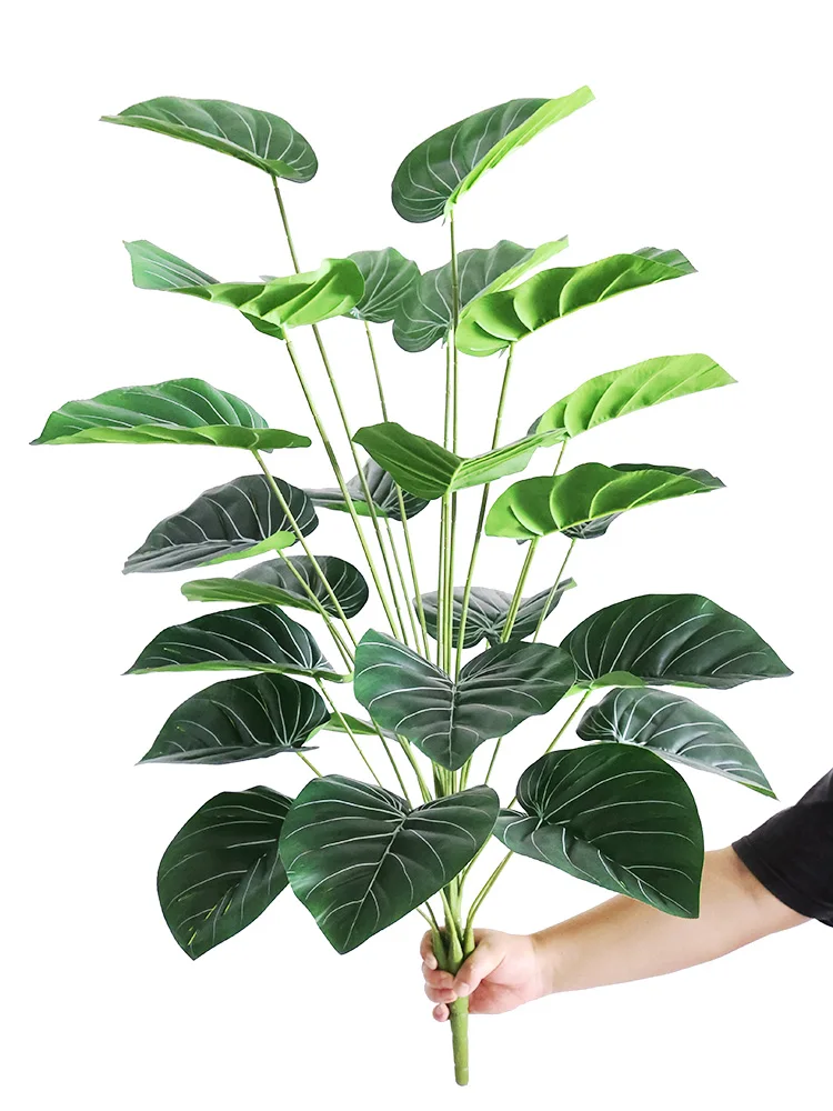 韓国カフェ風インテリアを再現するための観葉植物ツルビニ鉢植え