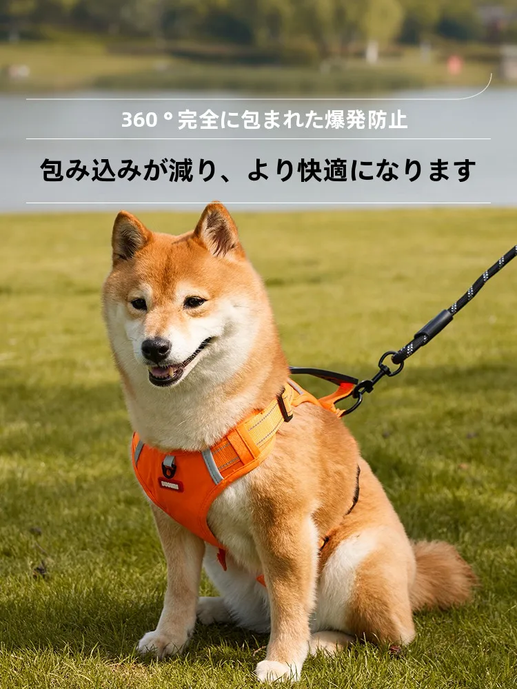 犬用引き紐付きハーネス：中大型犬向けの脱走防止と通気性を両立