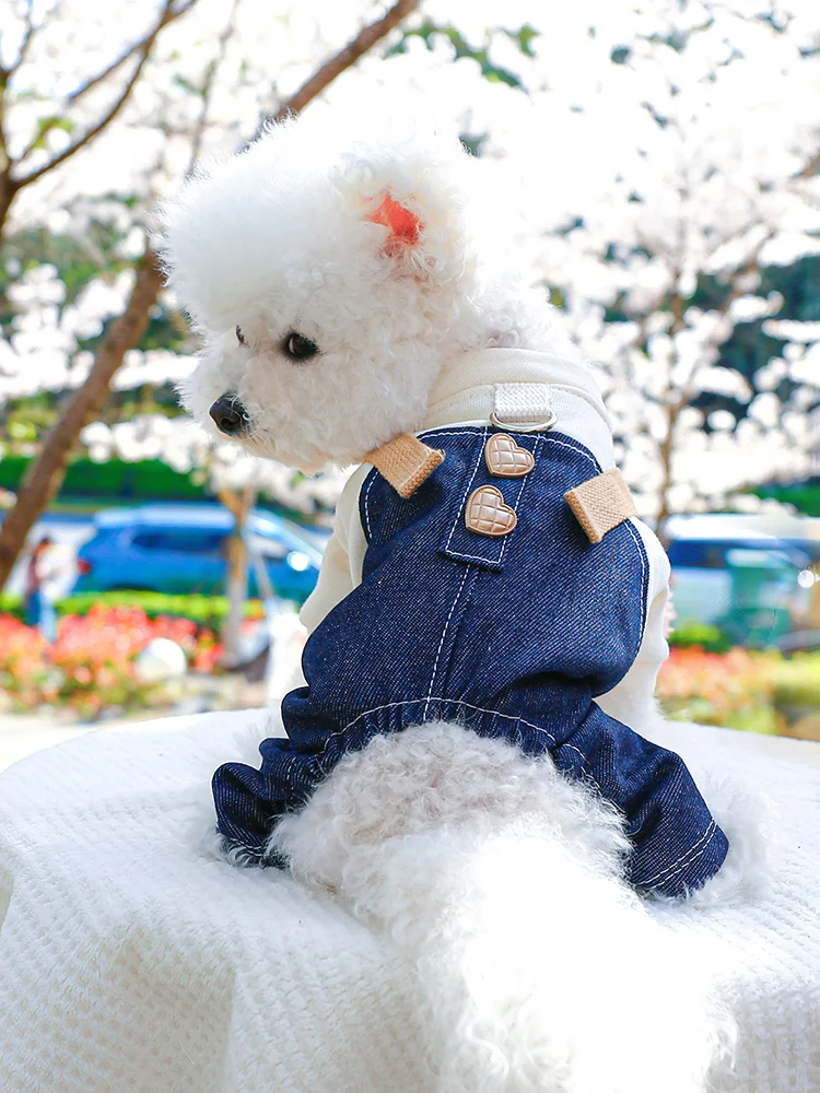 小型犬用ハーネス付きサスペンダーデニムパンツ：春秋シーズンの散歩に最適な実用性を実証