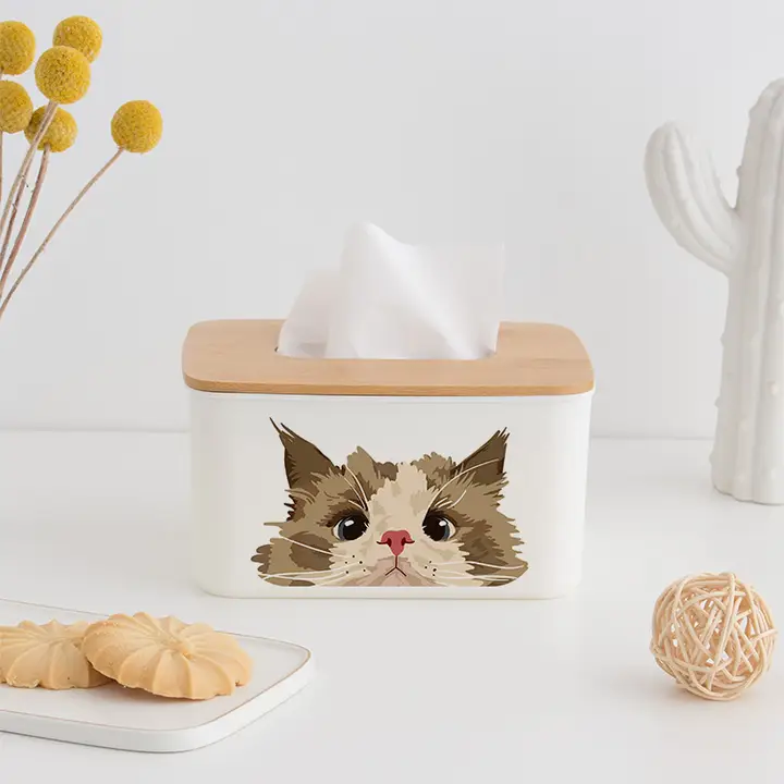 かわいい猫デザインの竹製ティッシュボックス【リビング・ダイニング用・収納に便利】
