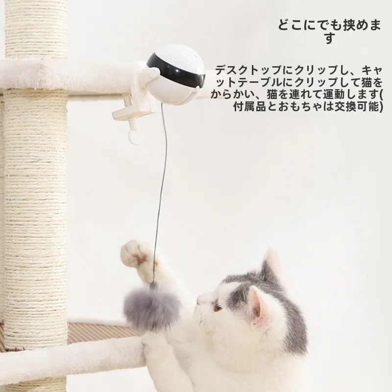 くすぐり機械を選ぶべきタイミングは？猫の反応を読むだけでわかる選び方