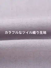 おしゃれで気品ある重ね着デザインの大きいサイズ女性用2点セット（セットアップ対応）