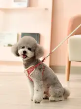 犬用ハーネス式リード【中型犬・防爆デザイン・テディベア用】