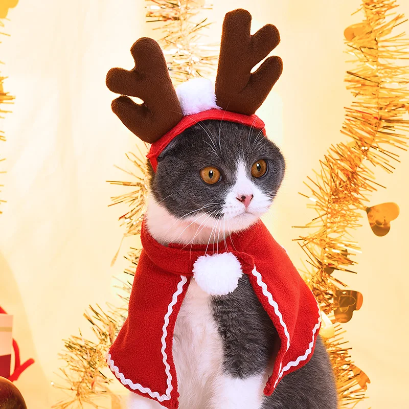 猫飼いが買ってよかったもの・悪かったもの正直に言う｜帽子がもたらす心の余裕