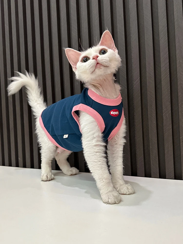 猫のグッズ雑貨おすすめ5選：使い方・価格帯・人気ブランドを徹底比較する実際の生活シーンで