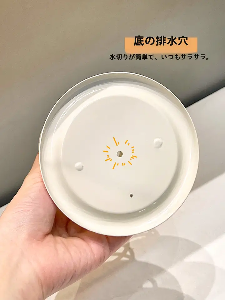 バックセット　体重計　ラック　歯磨きブラシ立て　薔薇　手描き　トールペイント 洗面台 収納スタンド 歯ブラシ立て メイクブラシスタンド 櫛立て 洗顔