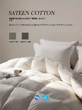 極上の柔らかさ 白鹅绒 掛け布団【ポーランド産・純綿・冬用】