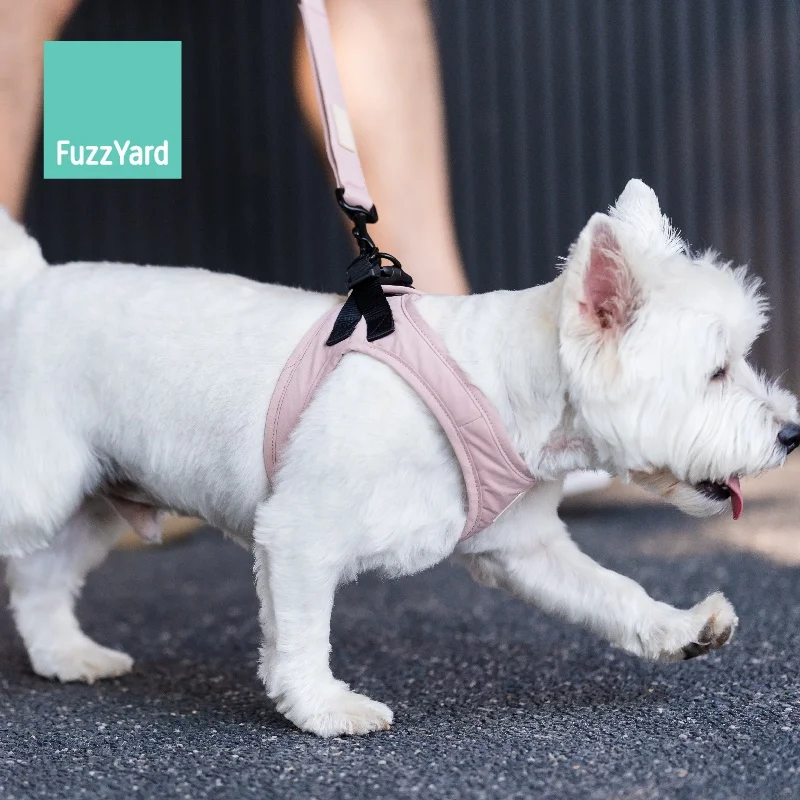 犬服の上からハーネス：コットン入り胸部ハーネスで小型犬の散歩を快適に