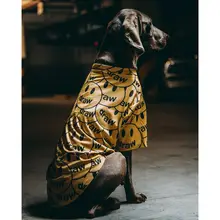 犬服夏用薄い  通気性メッシュ抗脱落