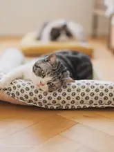 猫マット 猫用 ラタン 夏涼感
