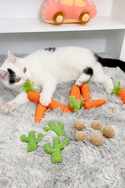 猫用おもちゃ【自動お楽しみ機能・噛みごたえあり・音声付き】