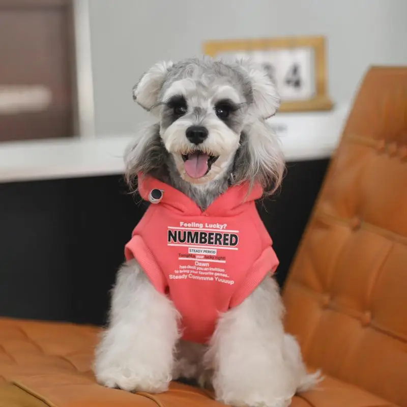 冬の通勤で犬が寒くならない方法は？小型犬用フリースセーターの選び方