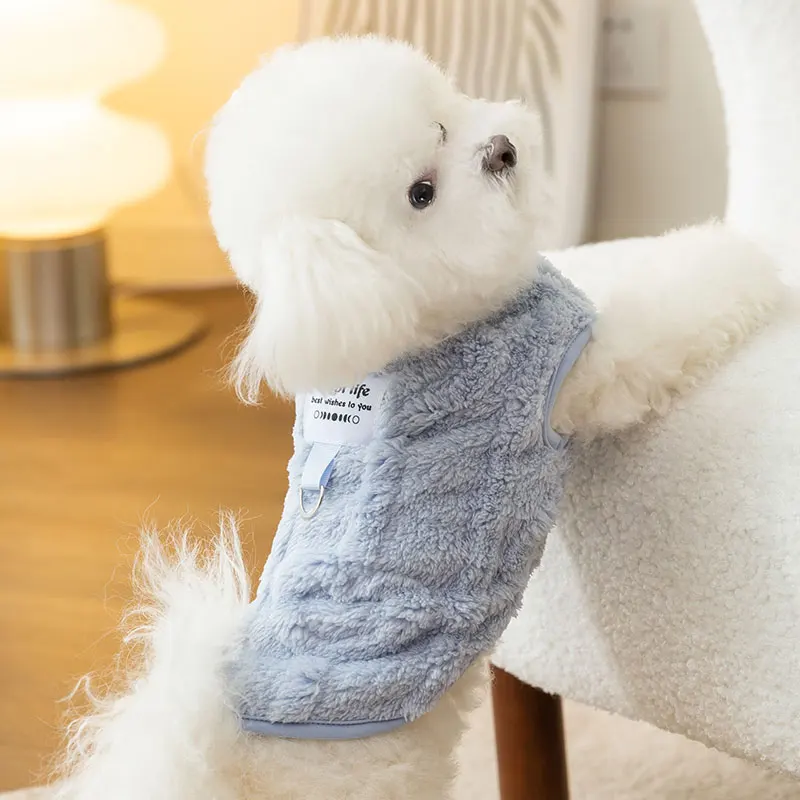 生後3ヶ月の犬に着せたら、まるで人間の冬物ベストみたいに見えるのはなぜ？