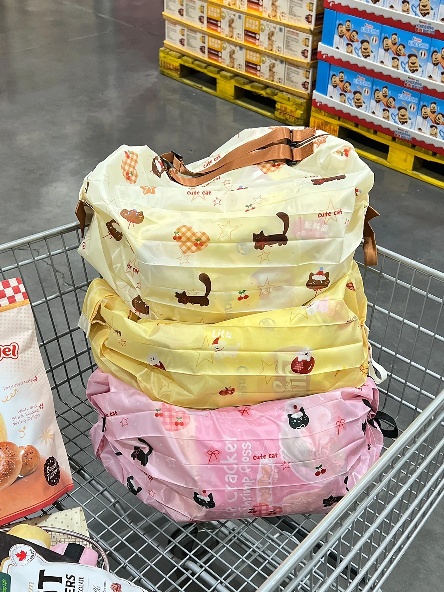 買い物を節約するための「持ち運びの魔法」は、この1つのバッグに隠されている？