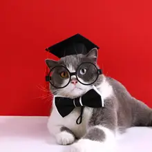 ペット用博士帽とリボンセット【犬猫用・誕生日パーティー・コスプレ道具】