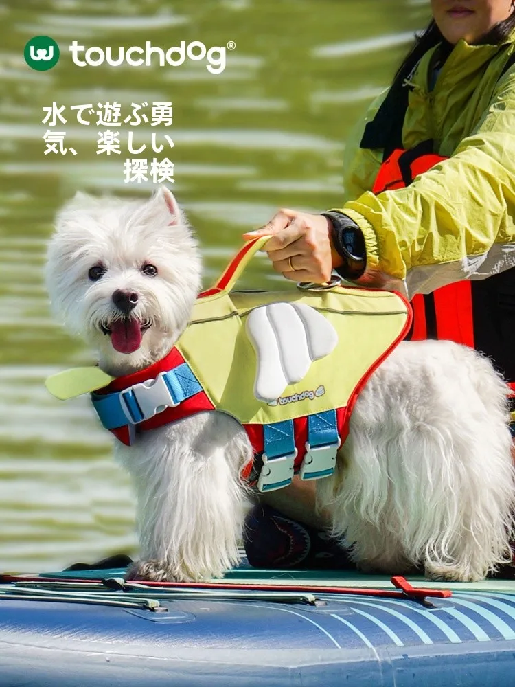 犬を飼う初心者に、夏の水辺で安心できる「救命ベスト」はどれがおすすめ？