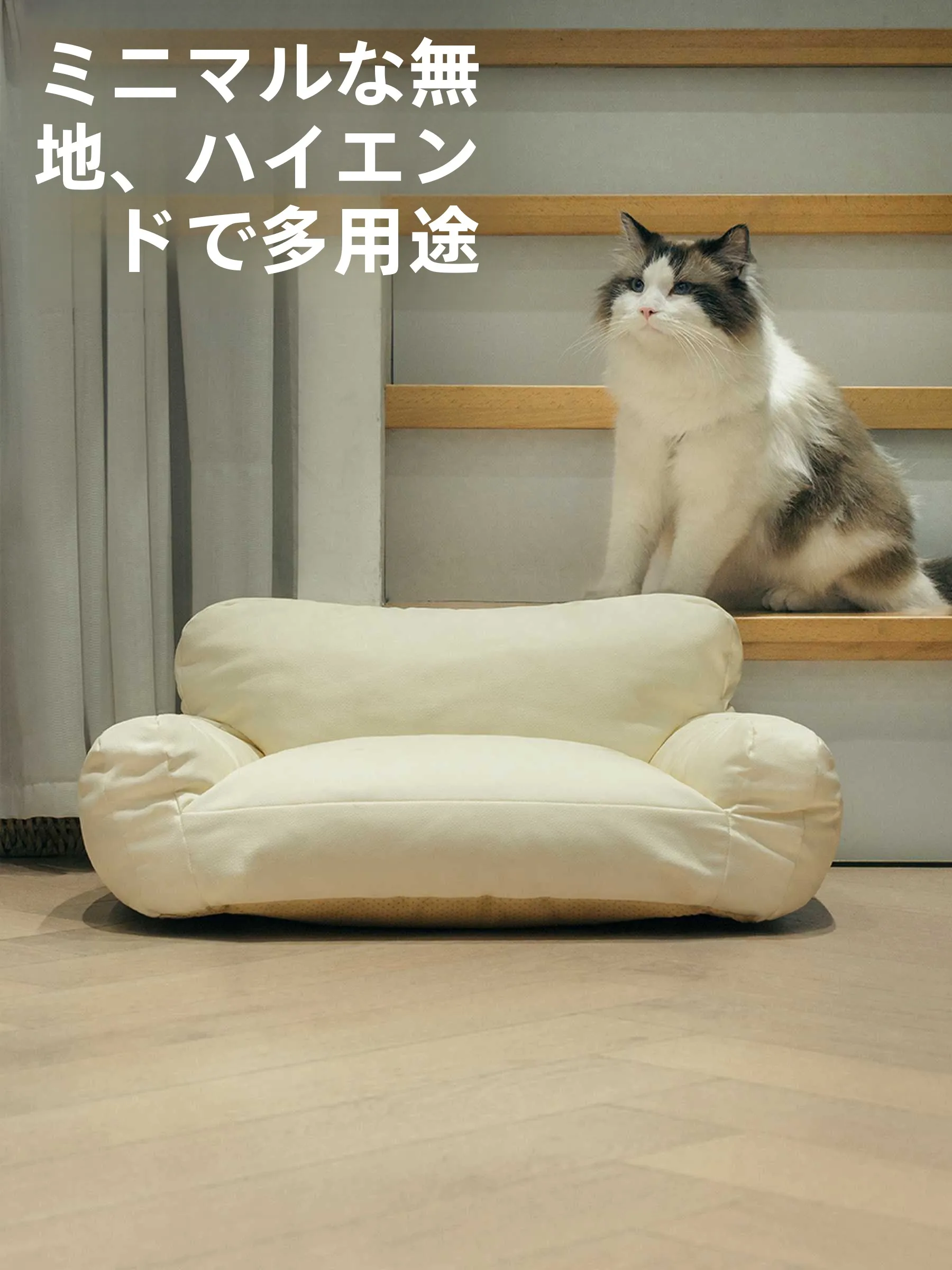 猫飼いが買ってよかったもの・悪かったもの正直に言う｜安心座れる場所の選び方徹底解説