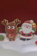 クリスマス用サンタクロースとトナカイ クッキー型【デコレーション動画付き】