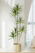 フェイク植物 リビング 部屋の装飾 大型人工植物 グリーンプラント 樹 ドラゴンブラッドツリー アガベ ラグジュアリー