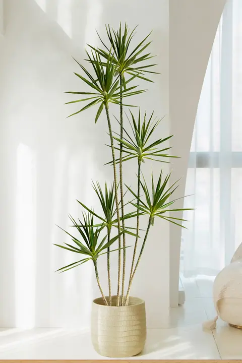 フェイク植物 リビング 部屋の装飾 大型人工植物 グリーンプラント 樹 ドラゴンブラッドツリー アガベ ラグジュアリー
