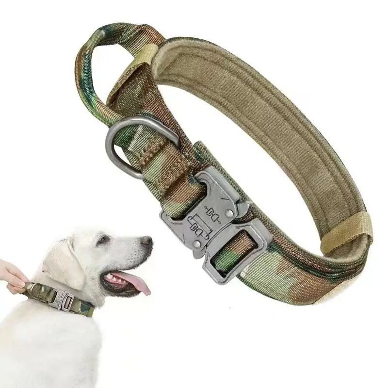 犬のお散歩グッズをコスパ良く揃える方法 - ハウンド犬用タクティカル首輪の機能とサイズ選定