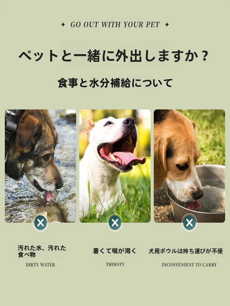 犬のお散歩グッズをコスパ良く揃える方法｜折りたたみ水飲み器の使い方とサイズ選びの徹底解説