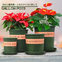 園芸用樹脂製ガーデンポット【多肉植物・家庭菜園・観葉植物用】