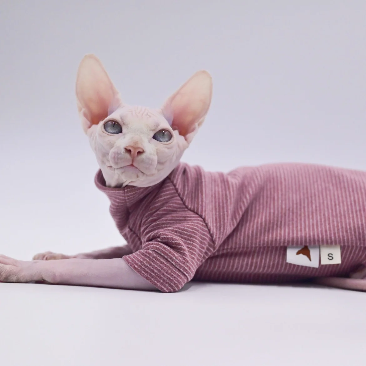 猫飼いが買ってよかったもの・悪かったもの正直に言う - スフィンクス猫用四脚エコファーオールインワンのサイズと特性