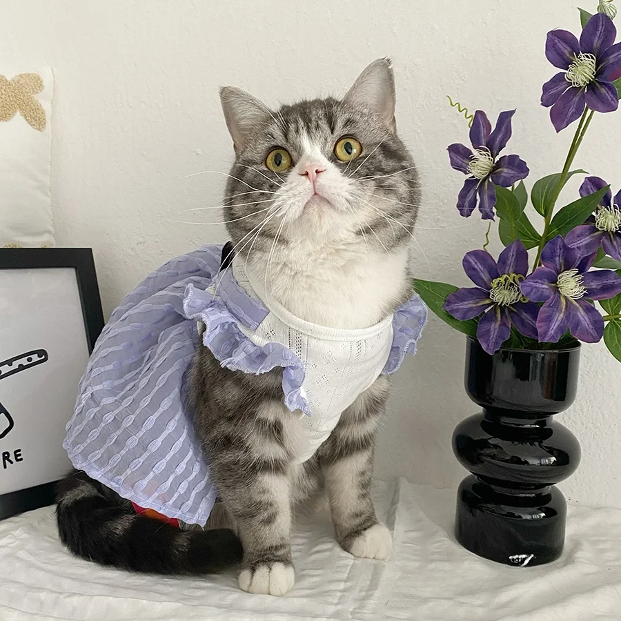 猫カフェデートで着る服は、コスプレみたいにしなくていい？