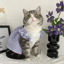 猫用 プリンセスドレス【夏用・薄手・通気性・二足タイプ】（セットアップ対応）