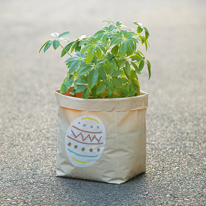 収納袋 プランター 防水 卵殻エコ素材 家庭用 冷蔵庫 野菜 果物 保存 「BONSTAR」