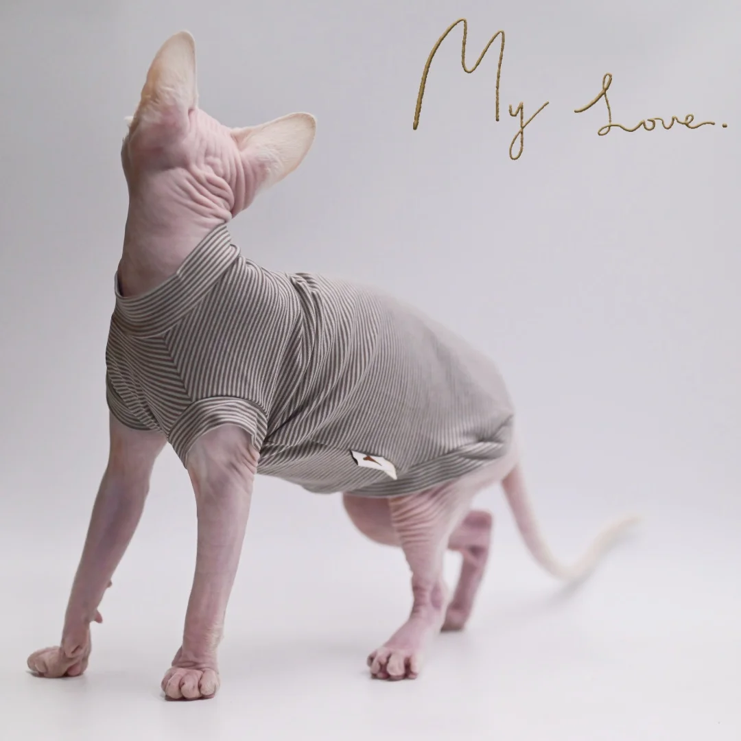 猫飼いが買ってよかったもの・悪かったもの正直に言う | コットン製無毛猫用クールウェアの通気性とサイズ対応