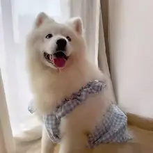 ペット犬用夏用フレッシュデザインのスカート【サモエドやラブラドールに対応】