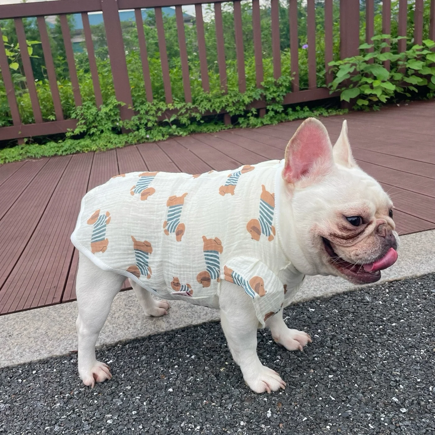 子供と暮らすとき、ペットの服はどんなものにしよう？