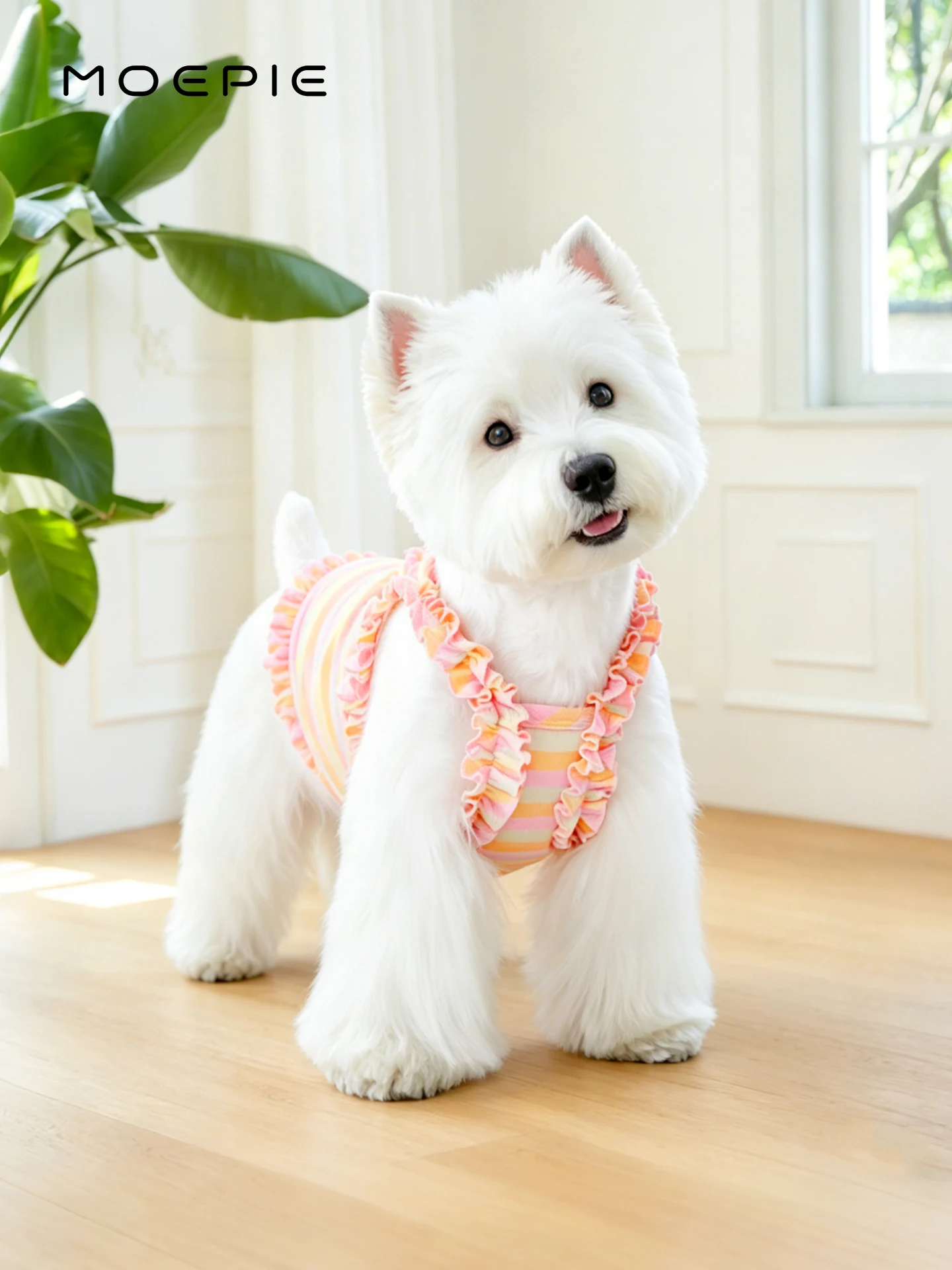 犬の夏用服：MOEPIE半袖通気性服の実用性とサイズ選定ガイド