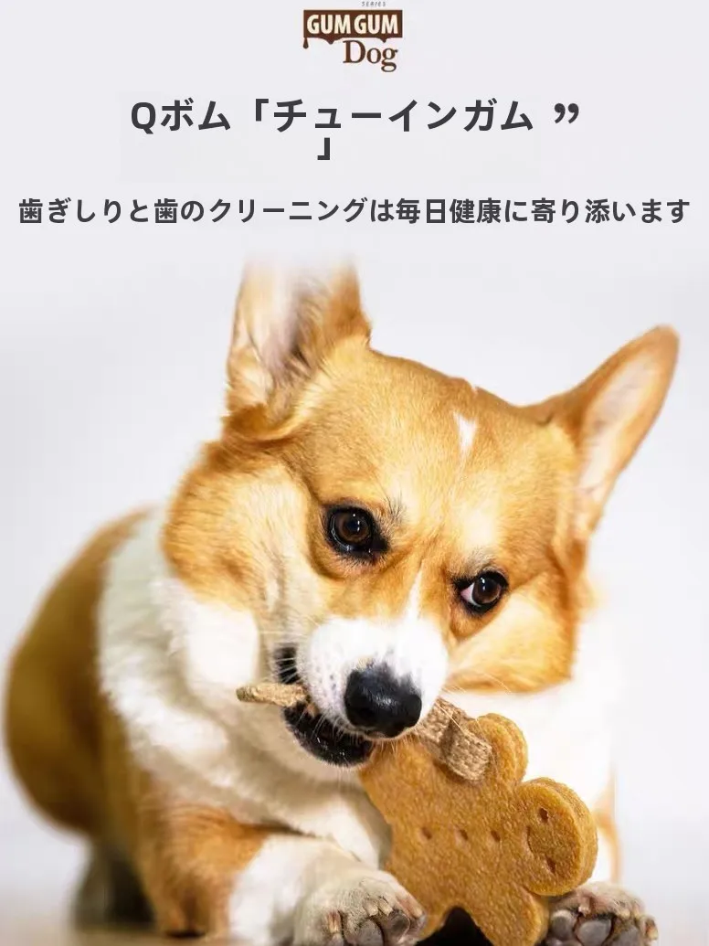 犬用歯磨き棒ホイッスルリング：長く遊べるおもちゃとしての口腔ケア機能と耐久性