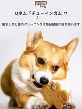 犬用おもちゃ 歯磨き棒 ホイッスルリング 耐噛みボール 大小型犬用