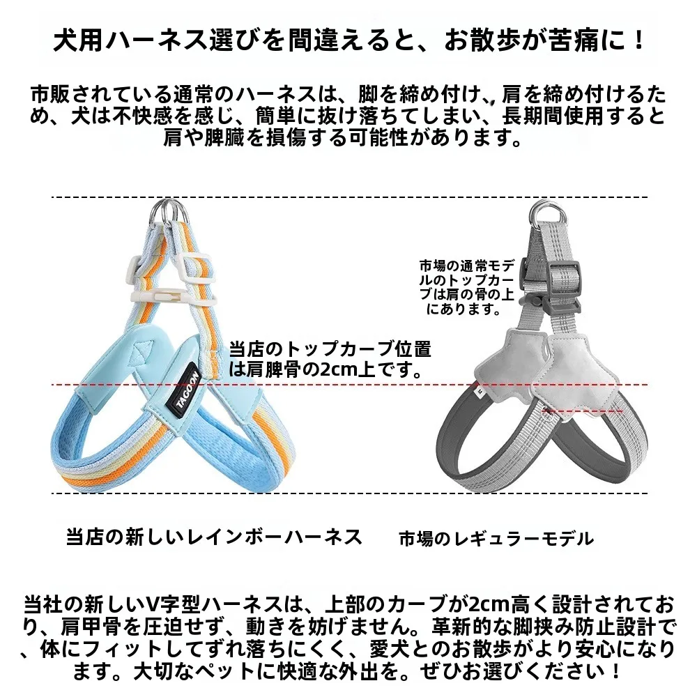 トイ・プードルに合うハーネスは、通気性と軽さが鍵？虹色のバイカラーハーネスが解決するリアルな悩み