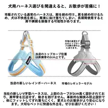 虹色のバイカラー犬用ハーネスリード【通気性・中小型犬用・胸式デザイン】（セットアップ対応）