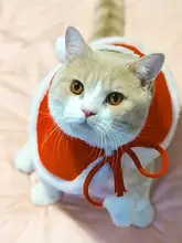 ペットのクリスマス服、猫と犬に共通の新年のマント
