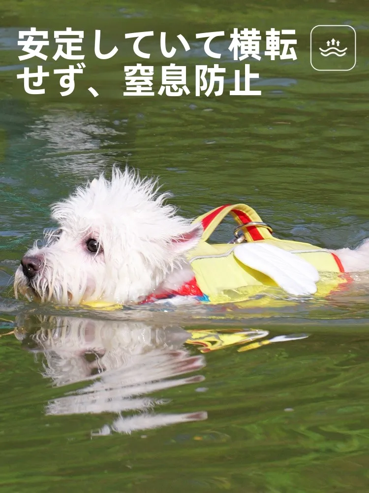 犬を飼う初心者に、夏の水辺で安心できる「救命ベスト」はどれがおすすめ？
