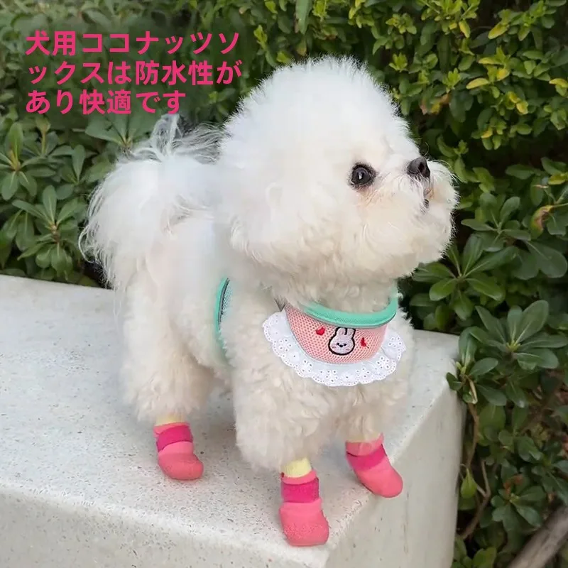 防水犬用靴下：滑り止め付きで散歩中の足元保護を実現