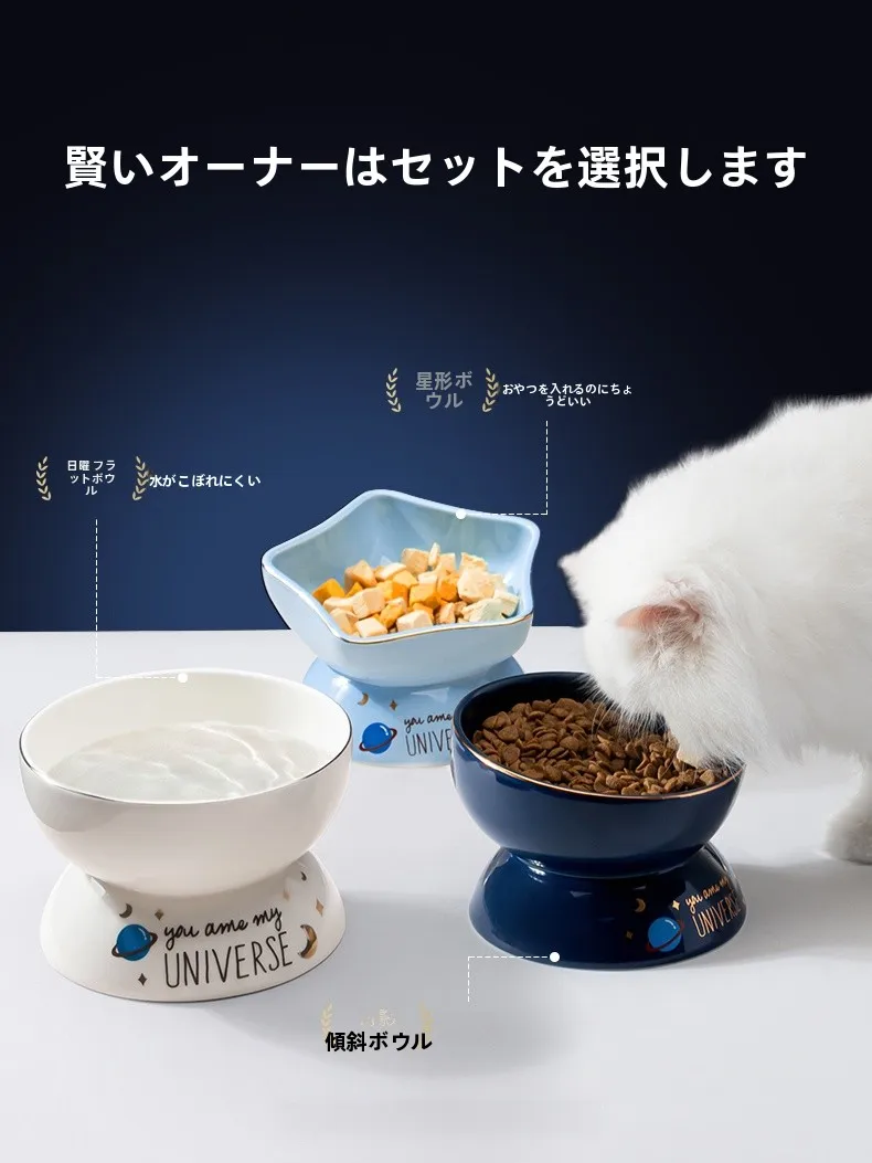 猫用セラミック高脚ボウルの選び方：斜口・防倒れ設計が水分補給を促進